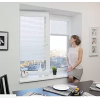 Жалюзи горизонтальные INTEGRA G-FORM без установки (Рассчитать цену)