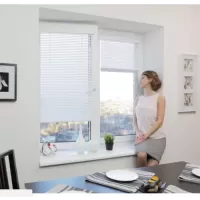 Жалюзи INTEGRA