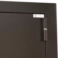 Входная дверь Лидер