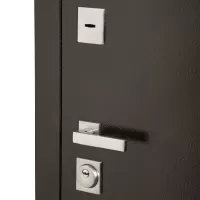 Входная дверь Лидер