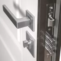 Входная дверь Лидер