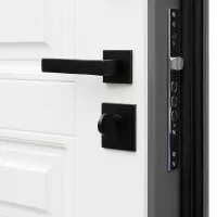 Входная дверь Лира