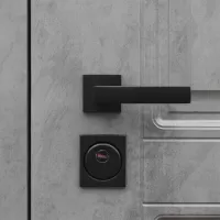 Входная дверь Лира