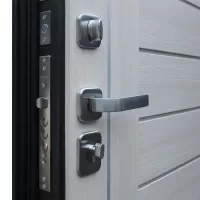 Входная дверь Соло (Белая лиственница)