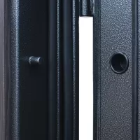 Входная дверь Соло (Белая лиственница)