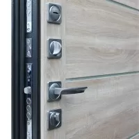 Входная дверь Техно XN 99 (Дуб сонома светлый)