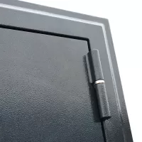 Входная дверь Техно XN 99 (Дуб сонома светлый)