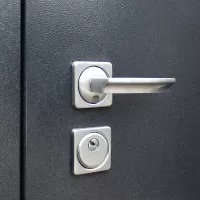 Входная дверь Техно XN 99 (Дуб сонома светлый)