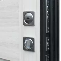 Входная дверь Техно XN 99 (Сандал белый 234)