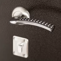 Входная дверь Лидер