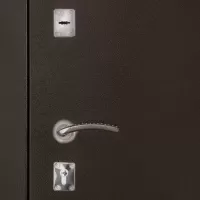 Входная дверь Лидер