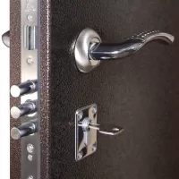 Входная дверь Лидер