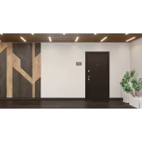 Входная дверь Лидер