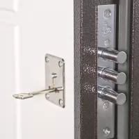 Входная дверь Лидер