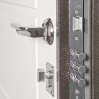 Входная дверь Лидер