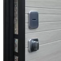 Входная дверь Next 2 (Акация светлая поперечная)