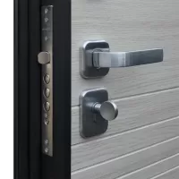 Входная дверь Next 2 (Акация светлая поперечная)