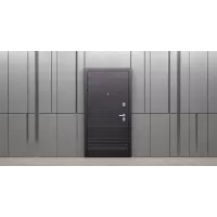 Входная дверь Дуэт (Белая лиственница)