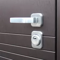 Входная дверь Дуэт (Белая лиственница)