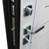 Входная дверь Дуэт (Белая лиственница)