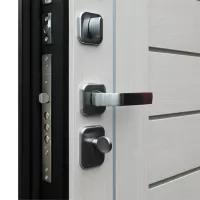 Входная дверь Дуэт (Белая лиственница)