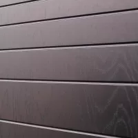 Входная дверь Дуэт (Белая лиственница)