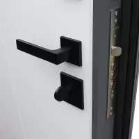 Входная дверь Дуэт Б