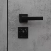 Входная дверь Дуэт Б