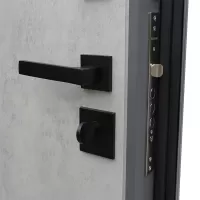 Входная дверь Дуэт Б