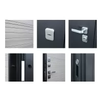 Входная дверь Next 1