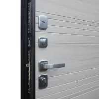 Входная дверь Next 1