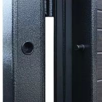 Входная дверь Next 1