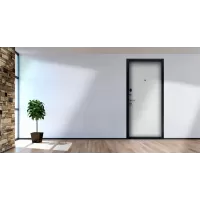 Входная дверь Next 1