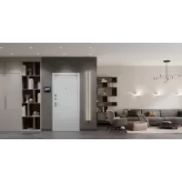 Входная дверь Next 1