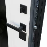 Входная дверь Арктика с зеркалом (терморазрыв 3к)