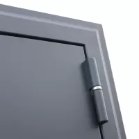 Входная дверь Барселона с зеркалом