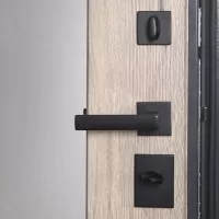 Входная дверь Беркут с зеркалом (Дуб галиф натуральный)