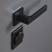 Входная дверь Беркут с зеркалом (Дуб галиф натуральный)