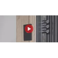 Входная дверь Беркут с зеркалом (Дуб галиф натуральный)