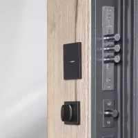 Входная дверь Беркут с зеркалом (Дуб галиф натуральный)