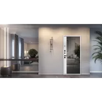 Входная дверь Бриг с зеркалом