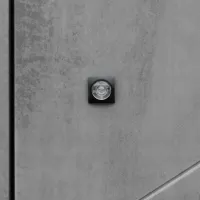 Входная дверь Дуэт Б с зеркалом