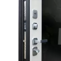 Входная дверь Дуэт с зеркалом