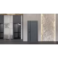 Входная дверь Forest с зеркалом