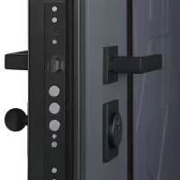 Входная дверь Forest с зеркалом