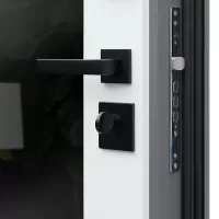 Входная дверь Лира с зеркалом