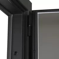 Входная дверь Scandi с зеркалом