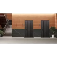 Входная дверь Solana с зеркалом