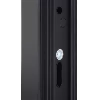 Входная дверь Solana с зеркалом