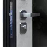 Входная дверь Спартак Б с зеркалом